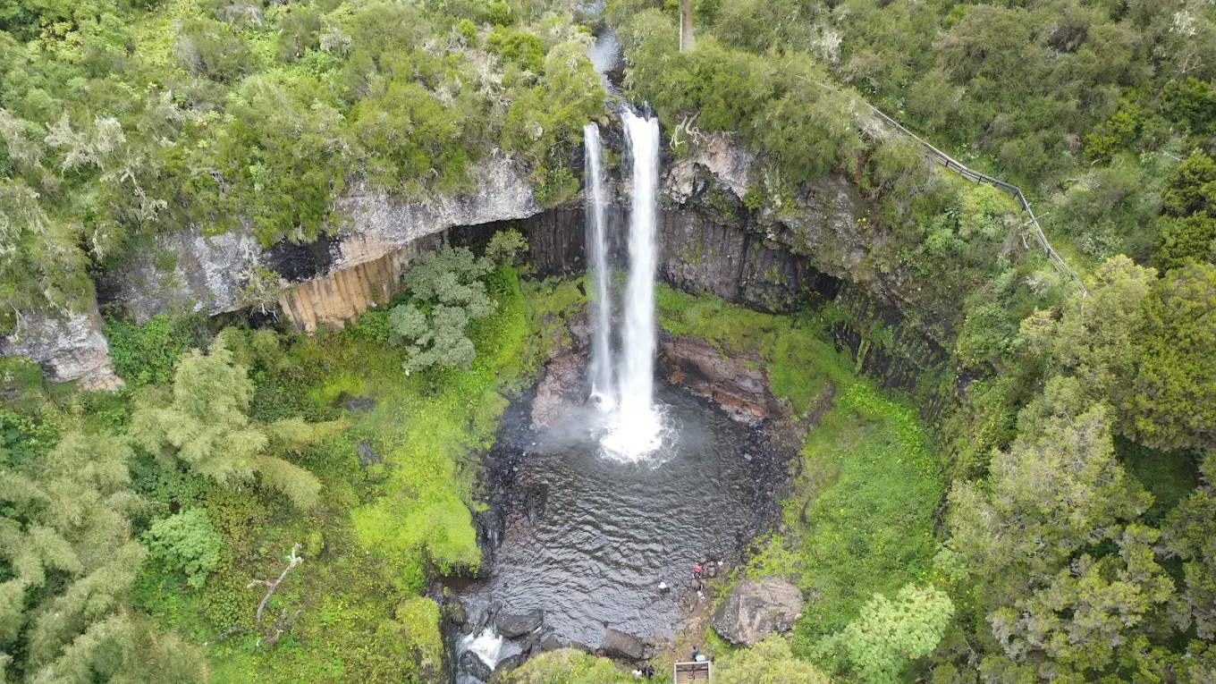 Aberdare National Park