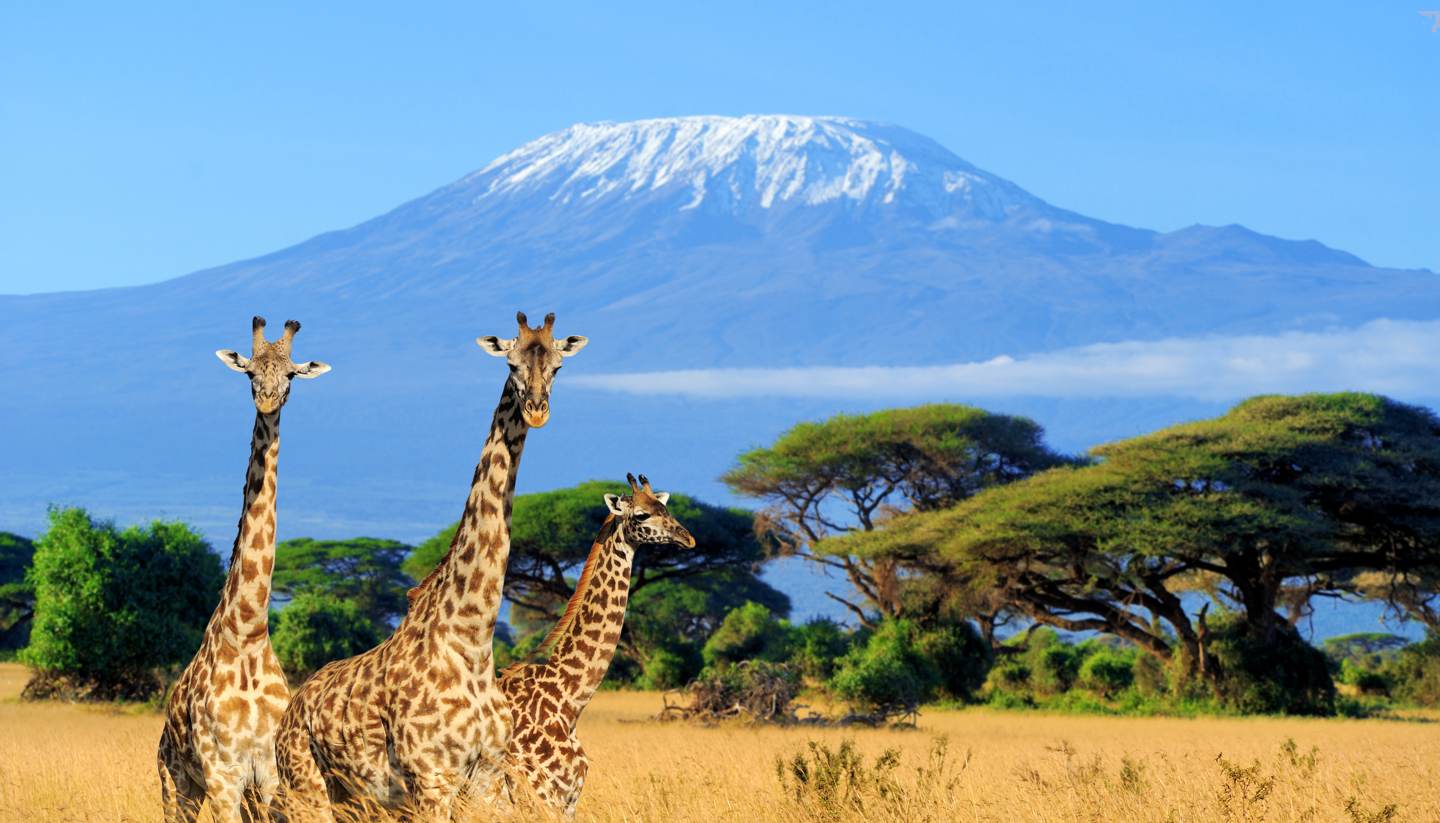 Amboseli national park