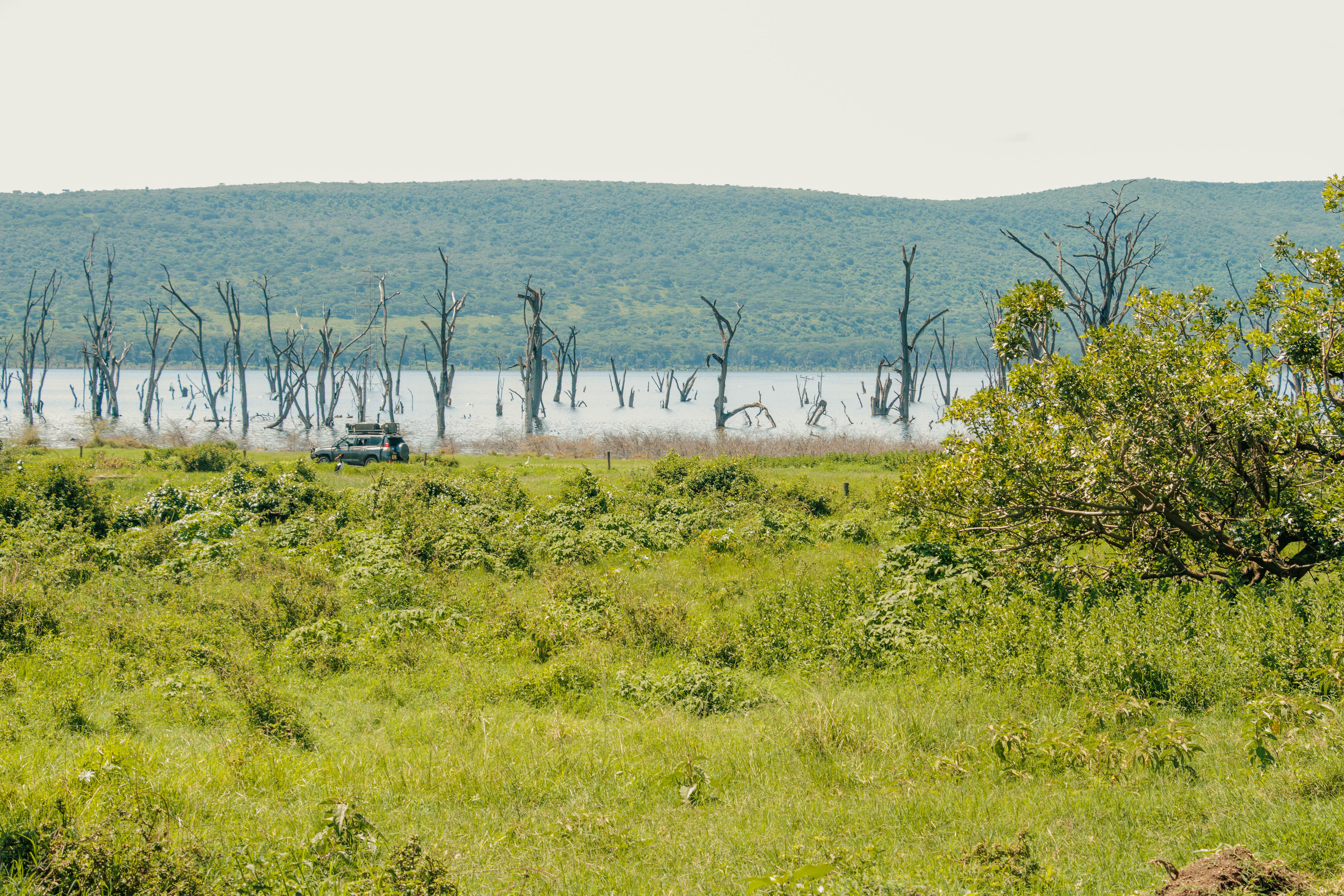Amboseli